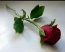 Funerals / Jewish Burial Society